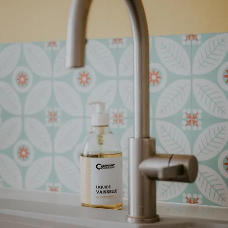 Apartment Terrail Centre Historique Clermont-Ferrand