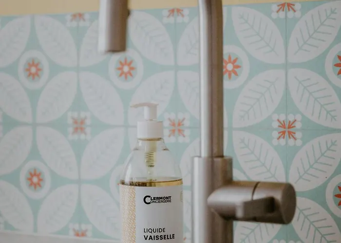 شقة Terrail Centre Historique كليرمونت-فيراند